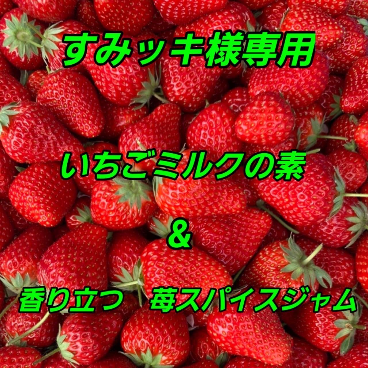いちごみるく様専用出品 専用に付き他者購入禁止‼️ 【公式通販】