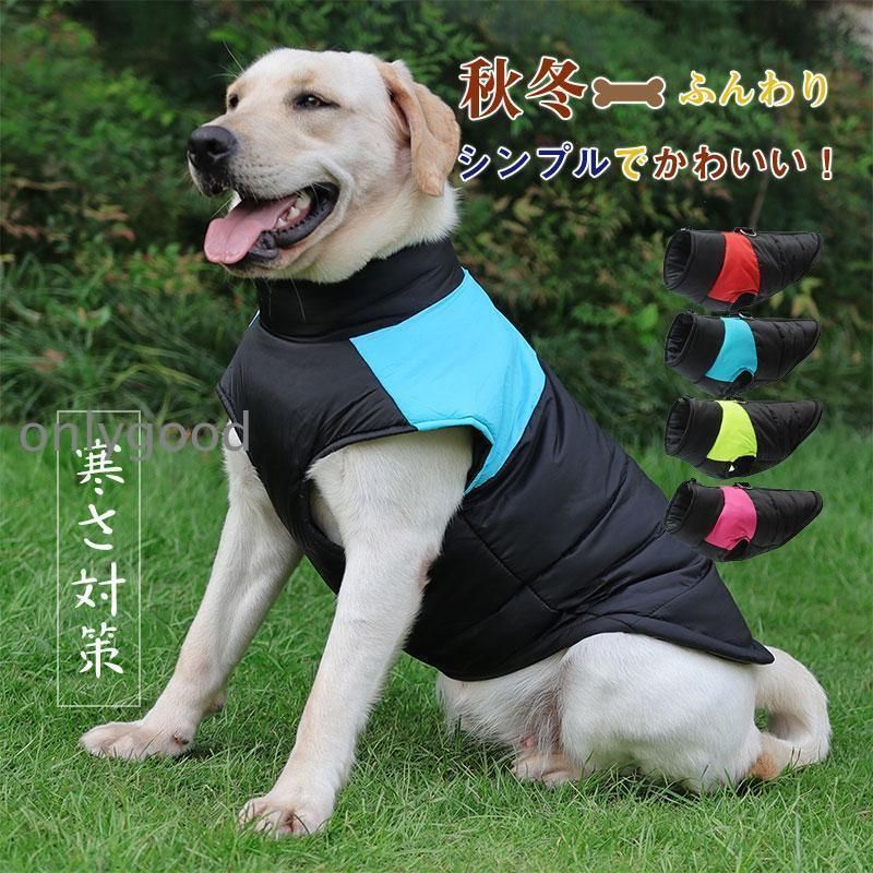 希少】【J &R】 バブリースーツ 赤 Sサイズ