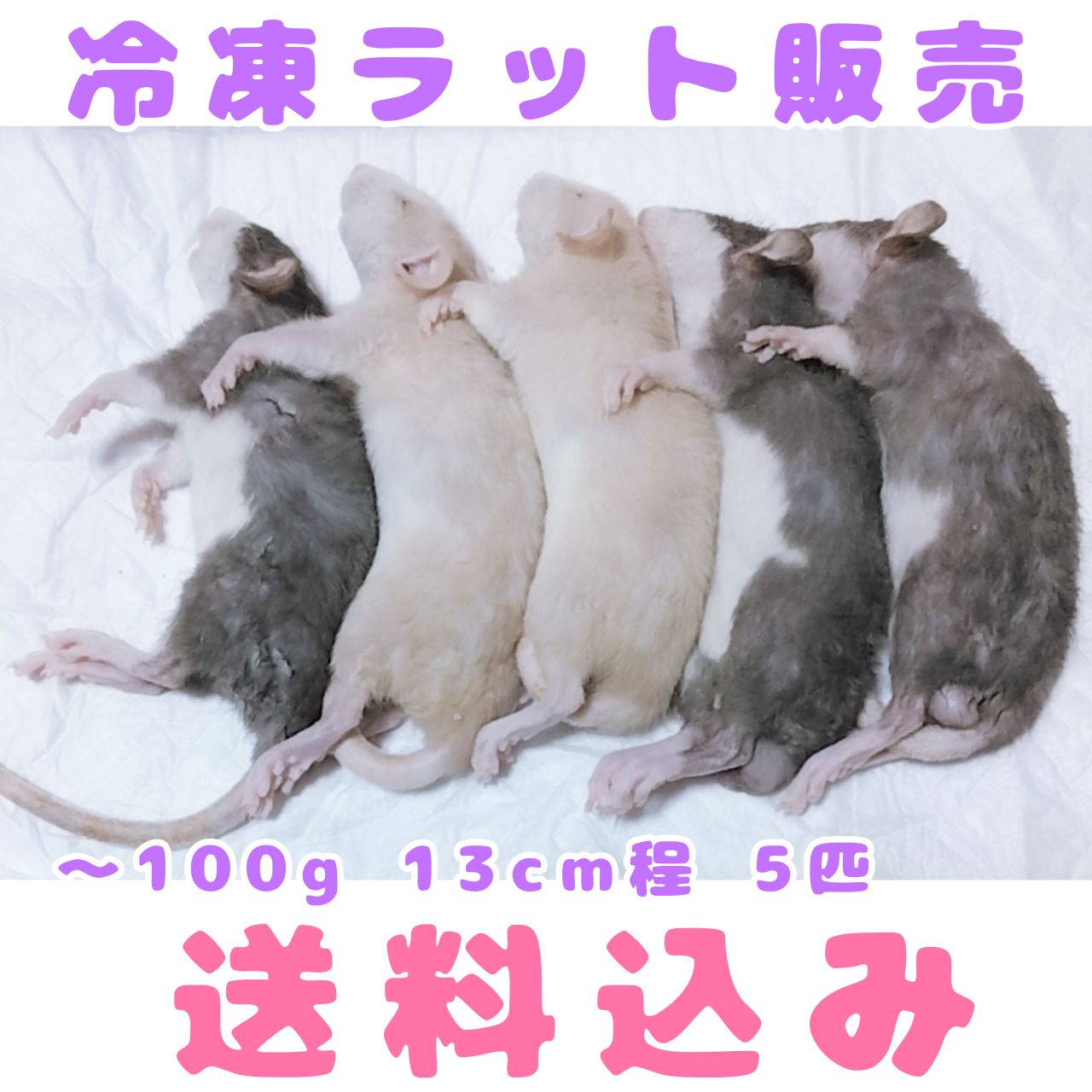 はる様専用】冷凍ラット【91-100g、71-80g 10匹】 - kero's - メルカリ