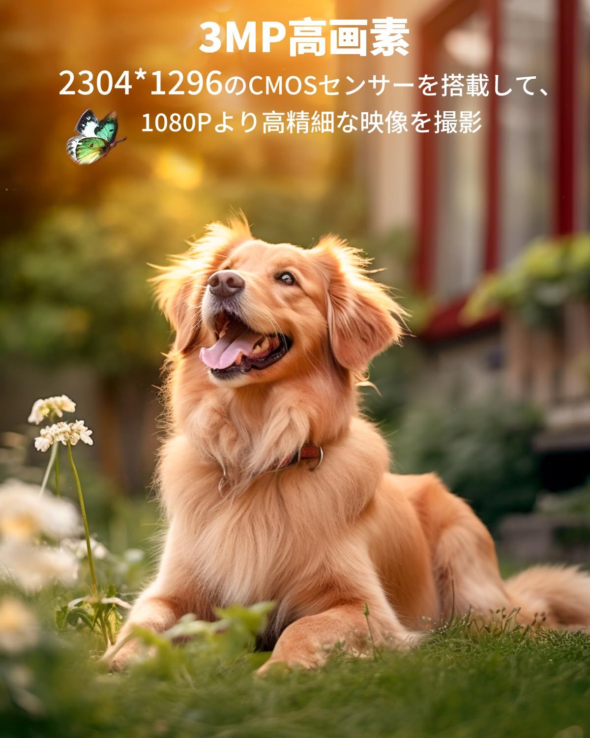 バッテリー内蔵 電源不要