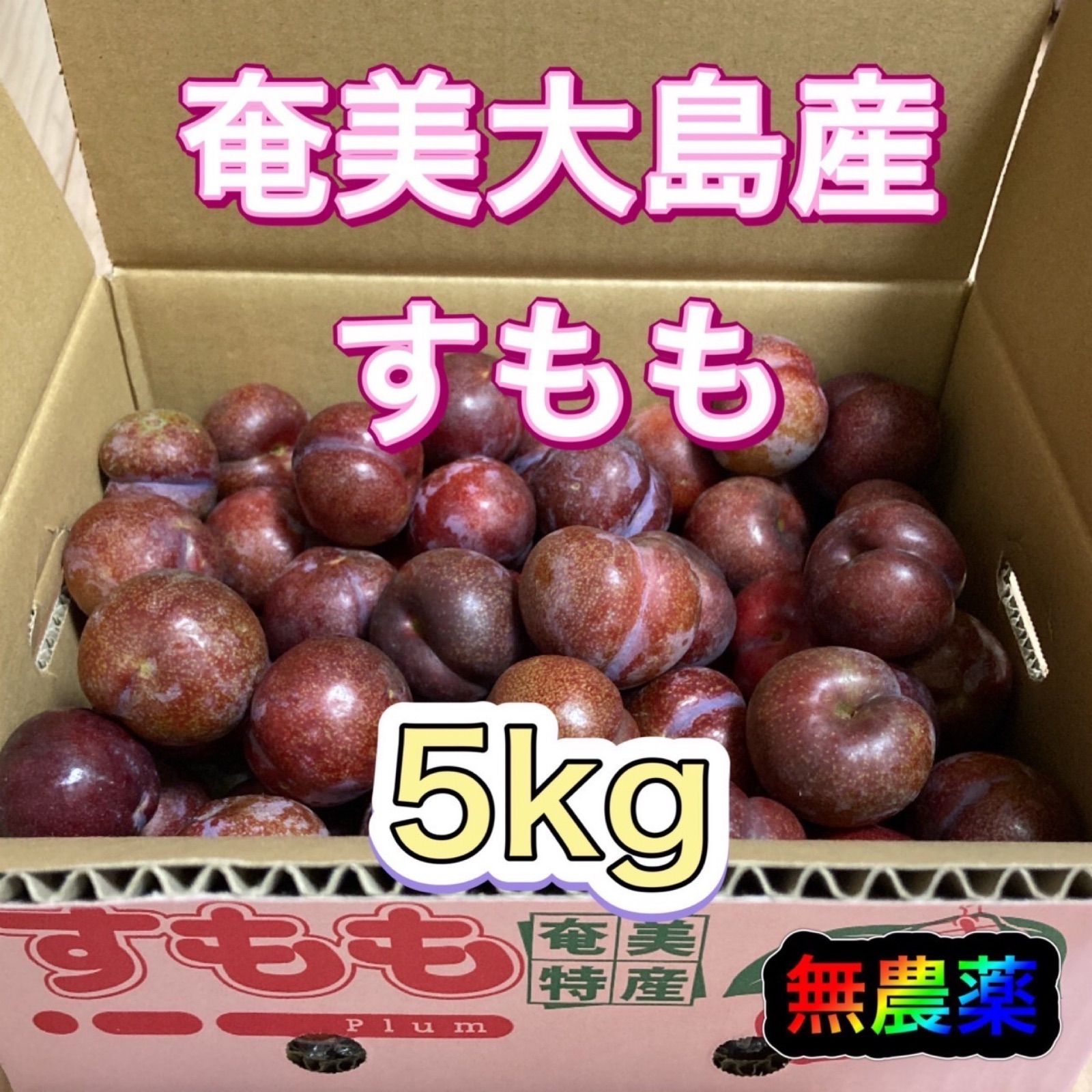 中古 奄美大島産 すもも 約15kg クール便 agapeeurope.org