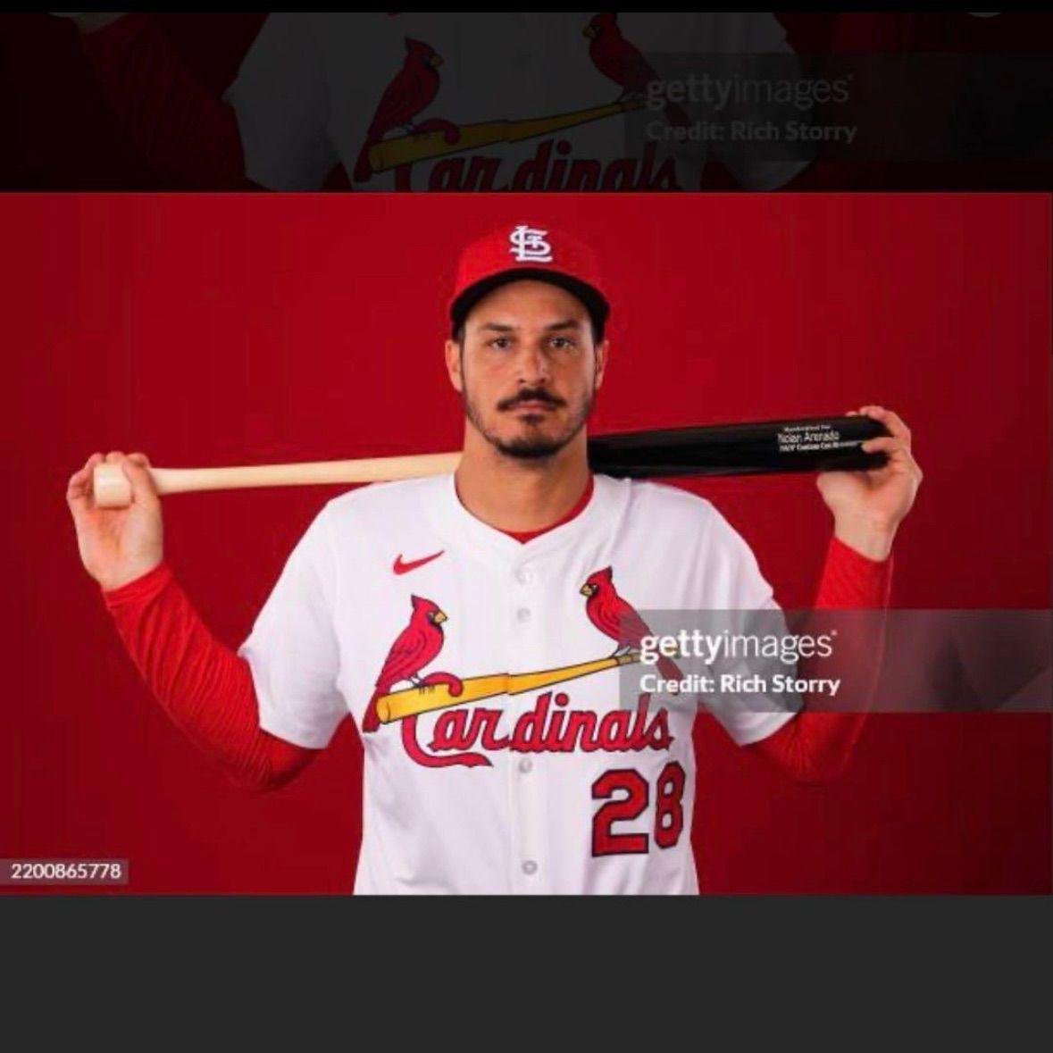 カージナルス ノーラン アレナド 実使用モデル バット Marucci マルッチ カージナルス ノーラン アレナド 実使用モデル バット Marucci