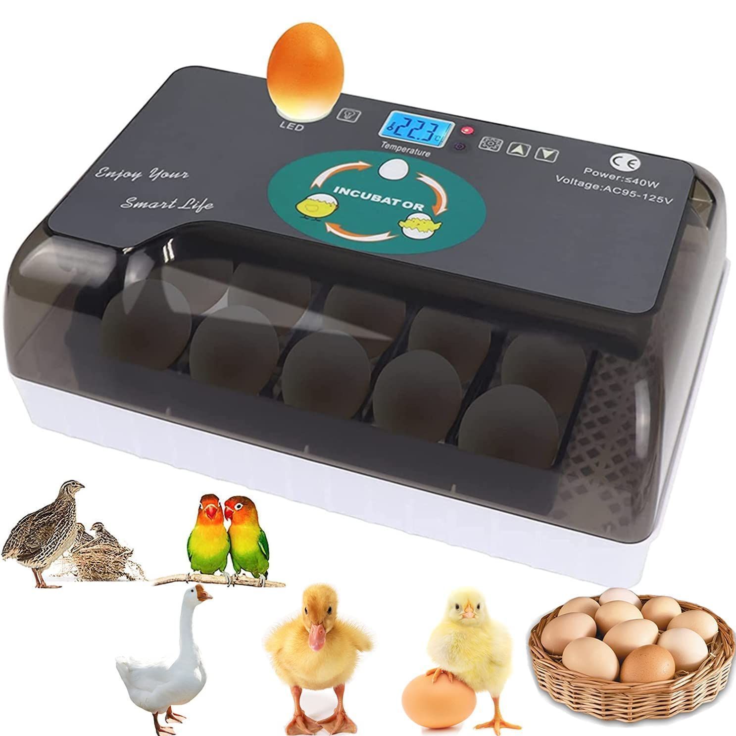 孵卵器 自動転卵 LifeBasis インキュベーター 孵化装置 - 鳥用品