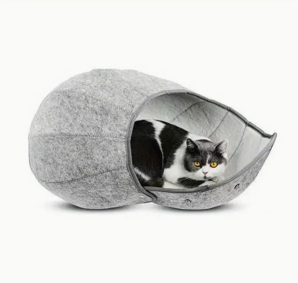 中型猫 大型猫