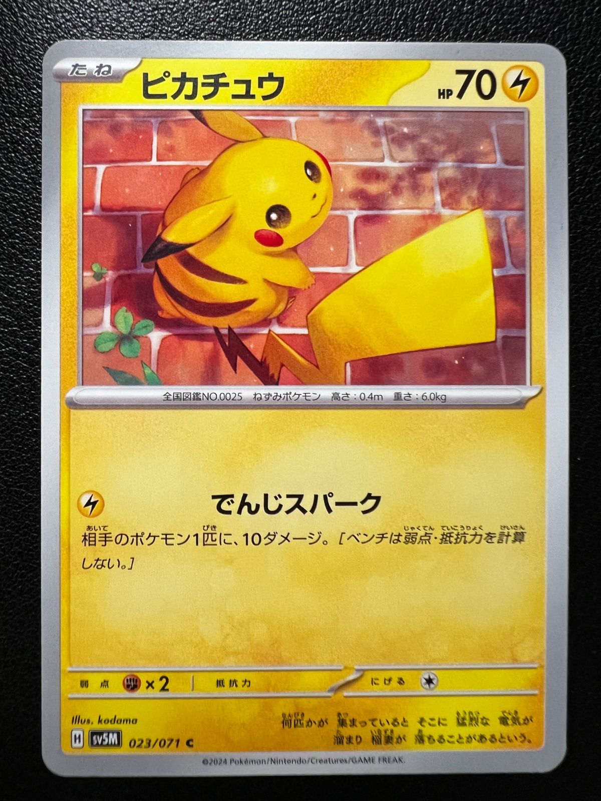 ピカチュウ５枚 ピカチュウ 229/BW-P｜ポケカシングルカード通販｜Cloveストア