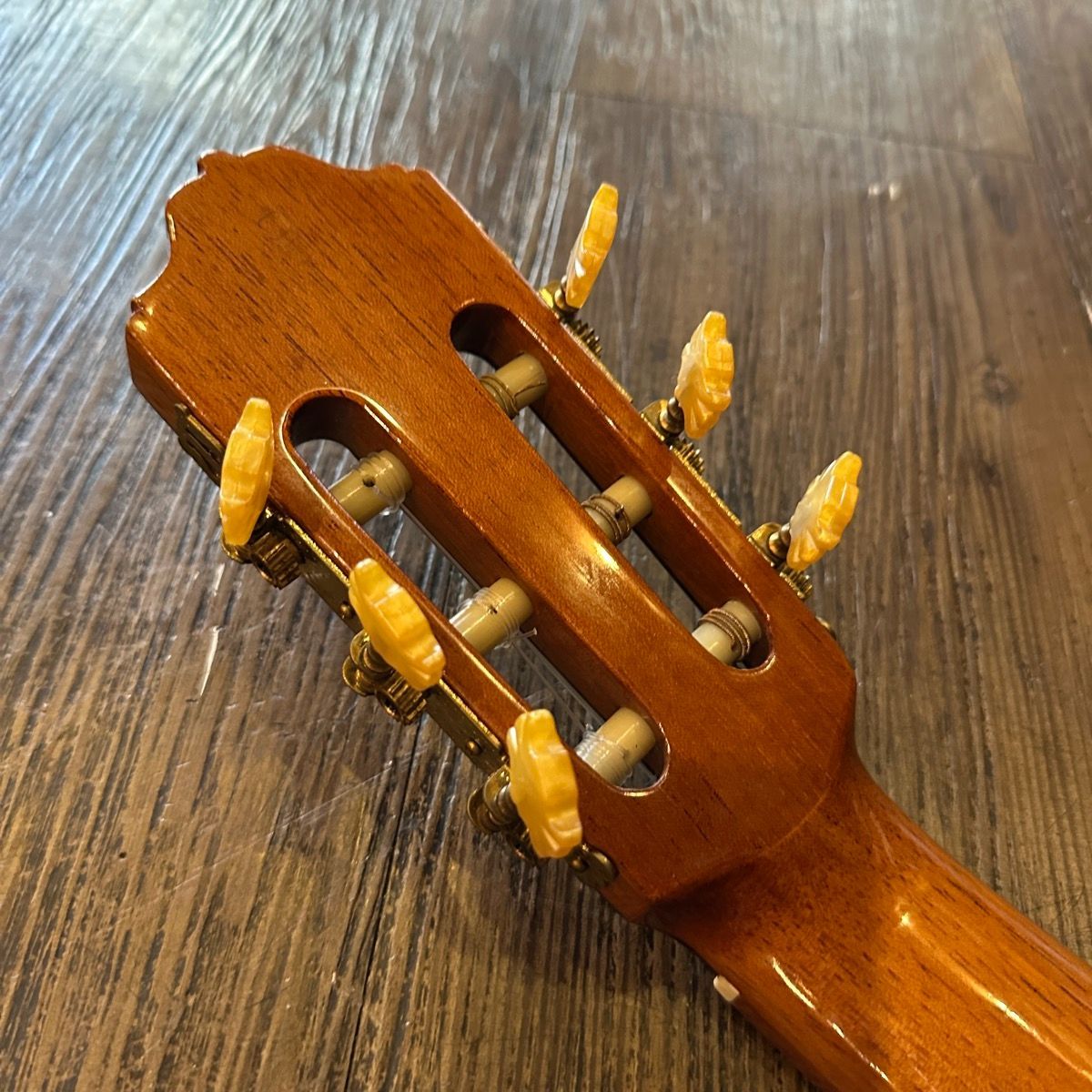 クラシックギター