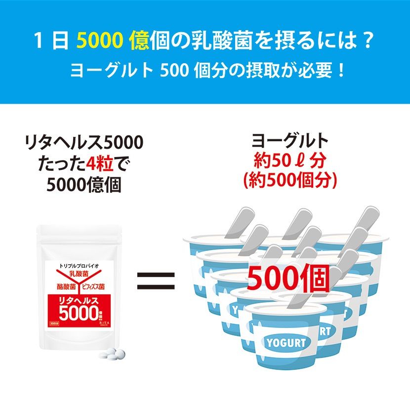 お試し3日分 リタヘルス5000 乳酸菌5000億個 酪酸菌200万個 ビフィズス菌10億個