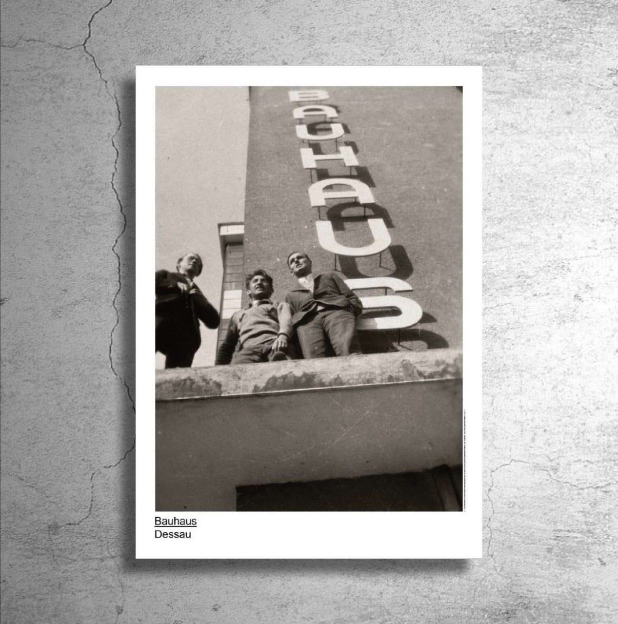 販売済み ドイツの建築学校『BAUHAUS バウハウス』デッサウ財団公式