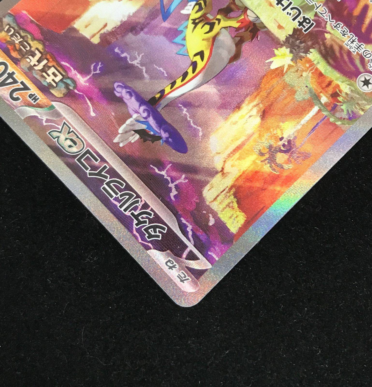 ポケモンカードゲーム YAECA ポケモンカードゲーム ポケカ タケルライコex SAR SV5K-095