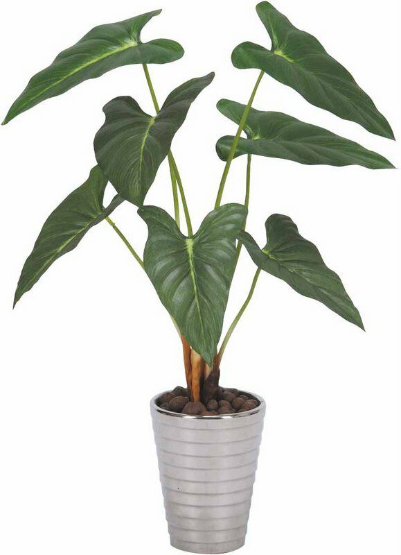 光触媒観葉植物 フィロデンドロン〔テーブルタイプ〕/光触媒 観葉植物 ウンベラータ フェイクグリーン 花 胡蝶蘭 開店祝い 開業祝い 誕生祝い 造花 アートフレーム おしゃれ 飾る LLサイズ