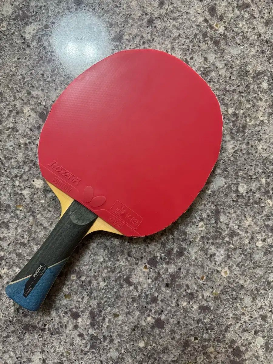 ピンポンテーブル エクシオム イグニト