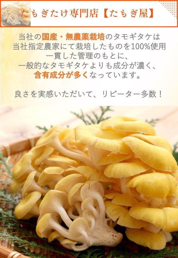 たもぎ茸