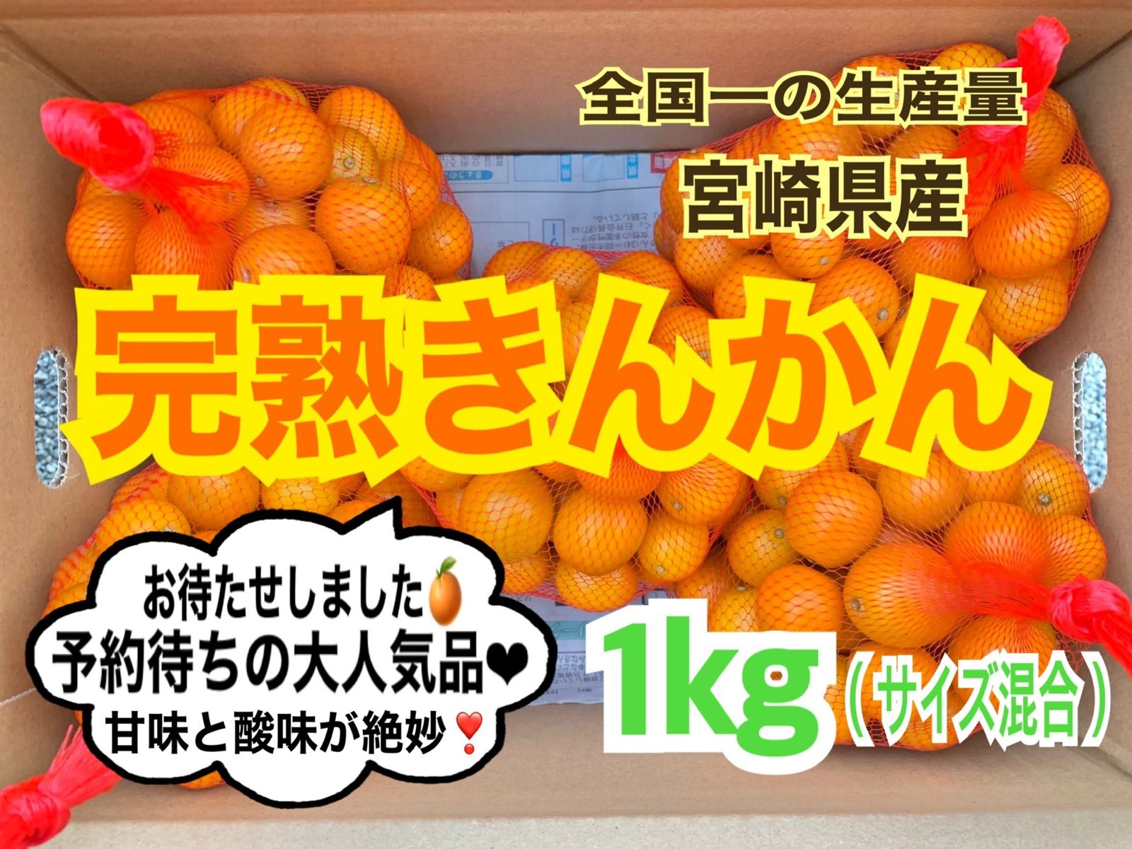 金柑 和歌山県産 1kg きんかん 採れたて ① 【即納】 - 果物