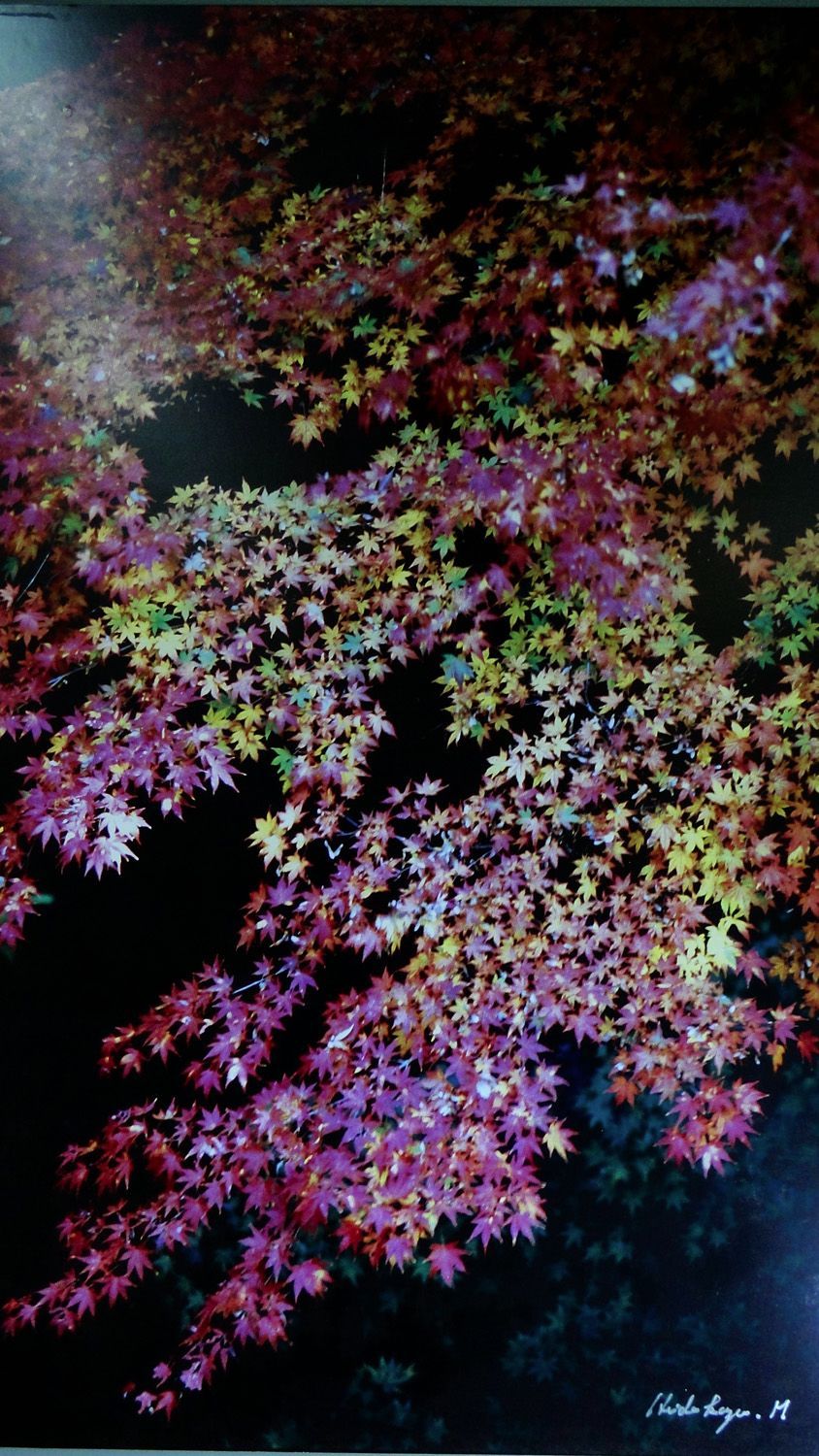 セール！・ Miyabi/H,Murayama   106cmX75cm Miyabi / H,Murayama 106cm X 75cm X 3.5cm - メルカリ