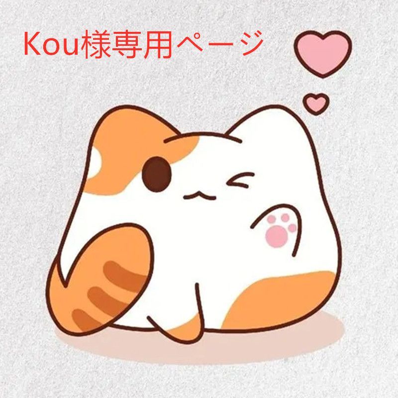 KOU様、専用ページ ばっち