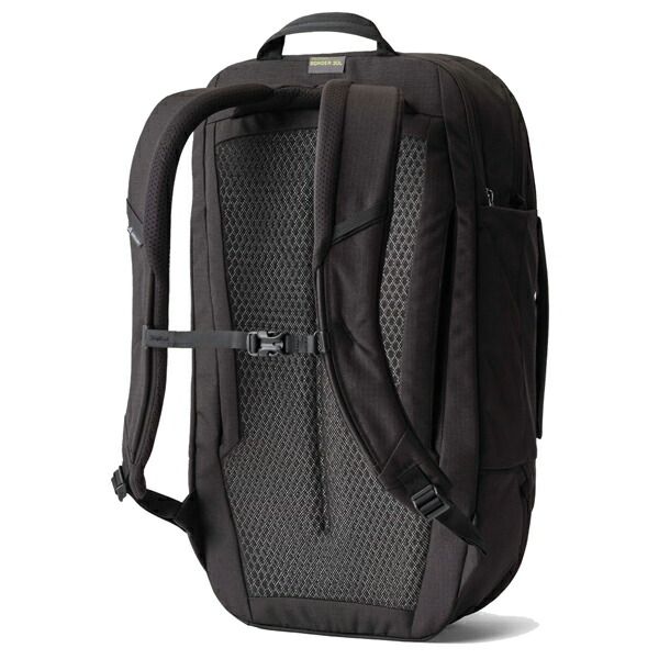 ボーダー30 ブラックライケン