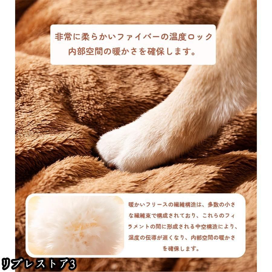 猫 犬