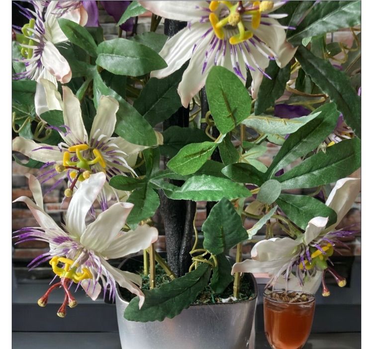 光触媒人工観葉植物ウォールグリーンフェイクグリーンセレナスター