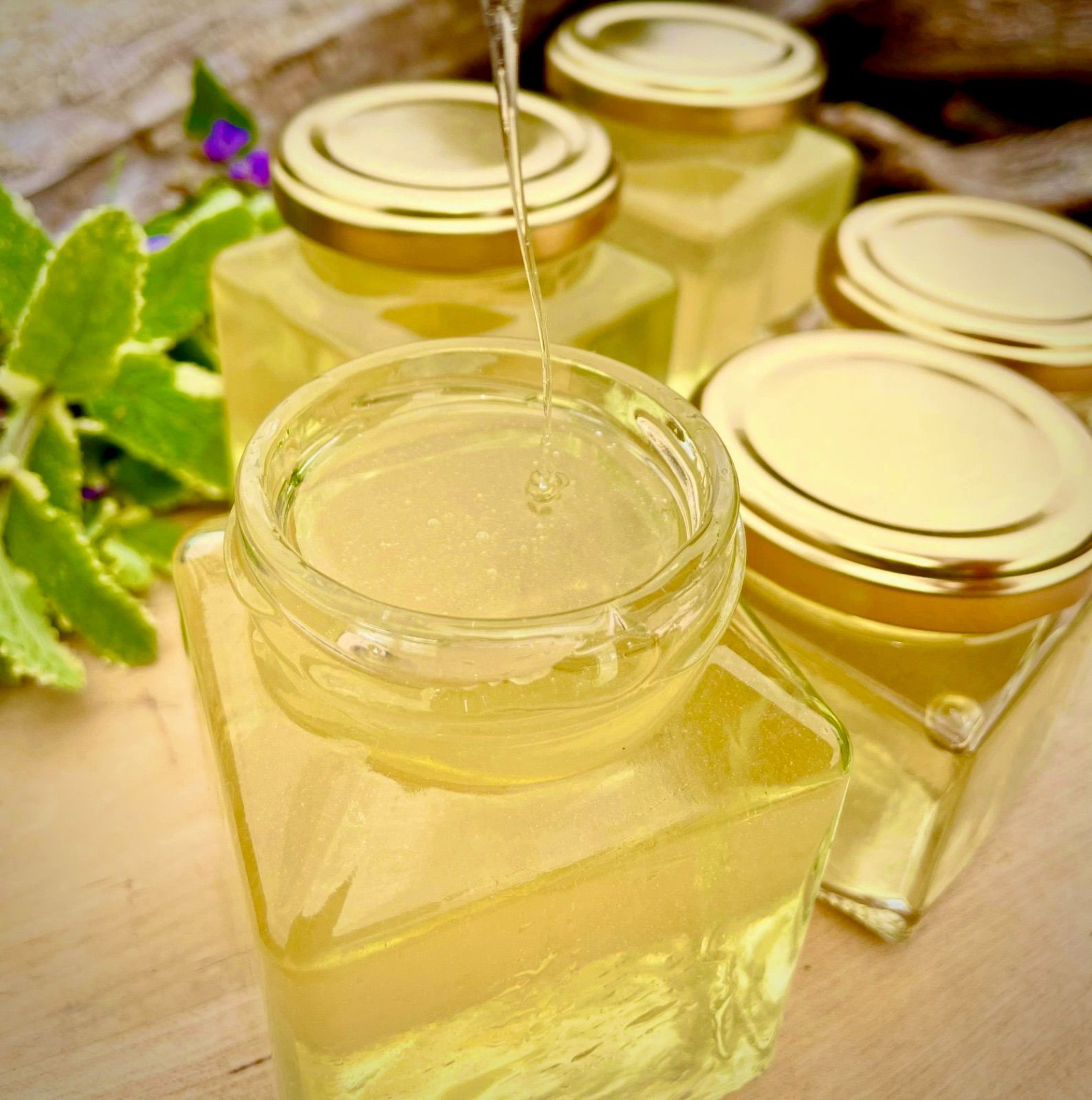 信州産 純粋生蜂蜜『真夏の百花 限定品』230g（無濾過、非加熱、薬剤不使用）