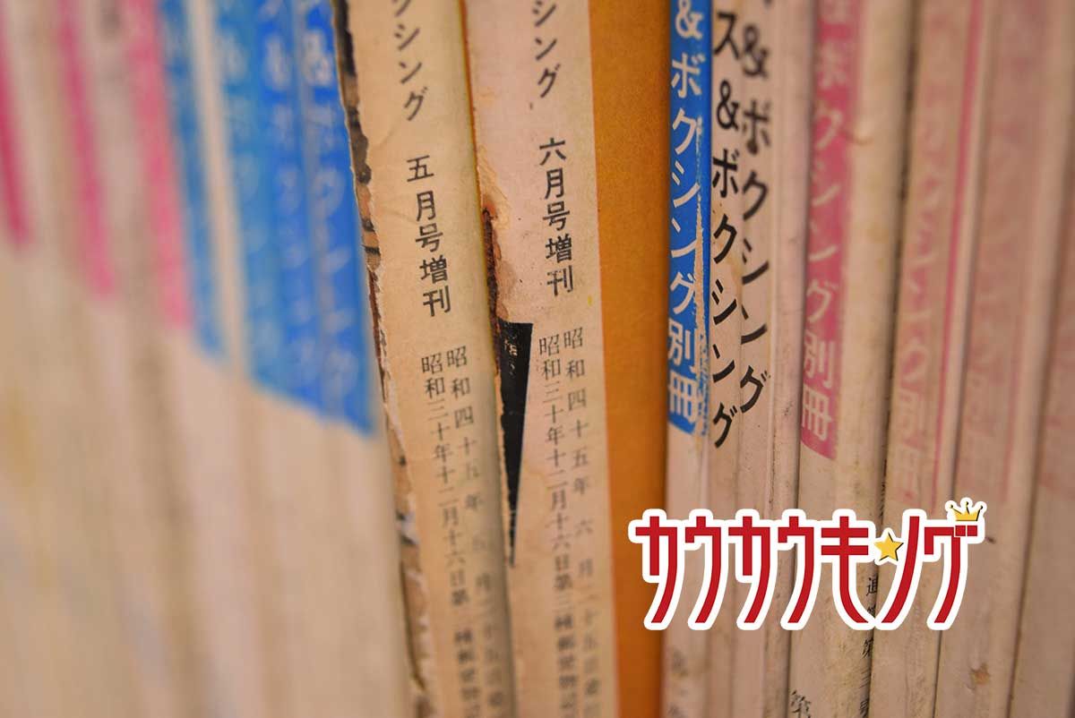 |ピンナップポスター付