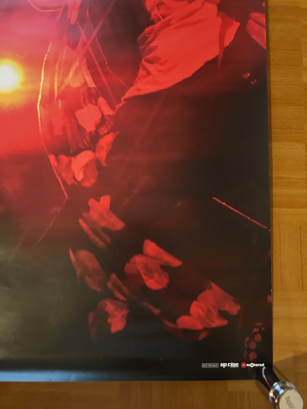 アシッド・ブラック・チェリー Acid Black Cherry / Q.E.D 2008年