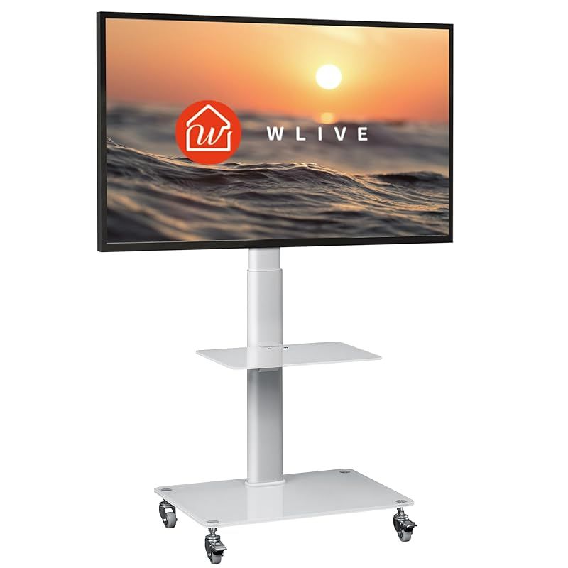 レボリューション 24型DVDプレーヤー内蔵液晶テレビ ZM-24DTV