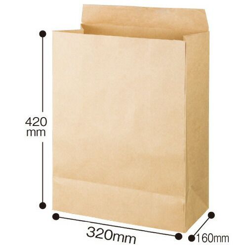 パ マチ広宅配袋 大 ラミネート付 4175 5280 カウネット