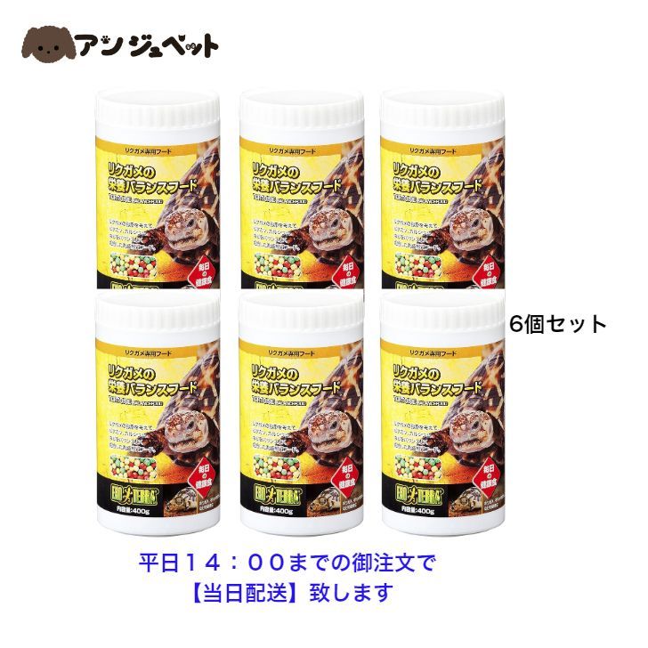 GEX EXOTERRA リックタートル 栄養バランスフード 400g 【6個セット】