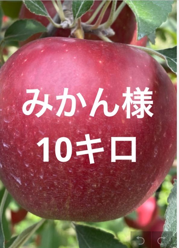 青森県産りんご紅玉家庭用10キロ