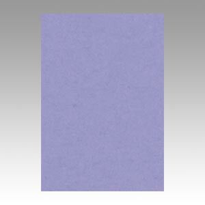 （まとめ） 色画用紙 文運堂 ニューカラーＲ 藤紫色 8NCR-217 4954022682170 1冊【×10セット】 9,310円