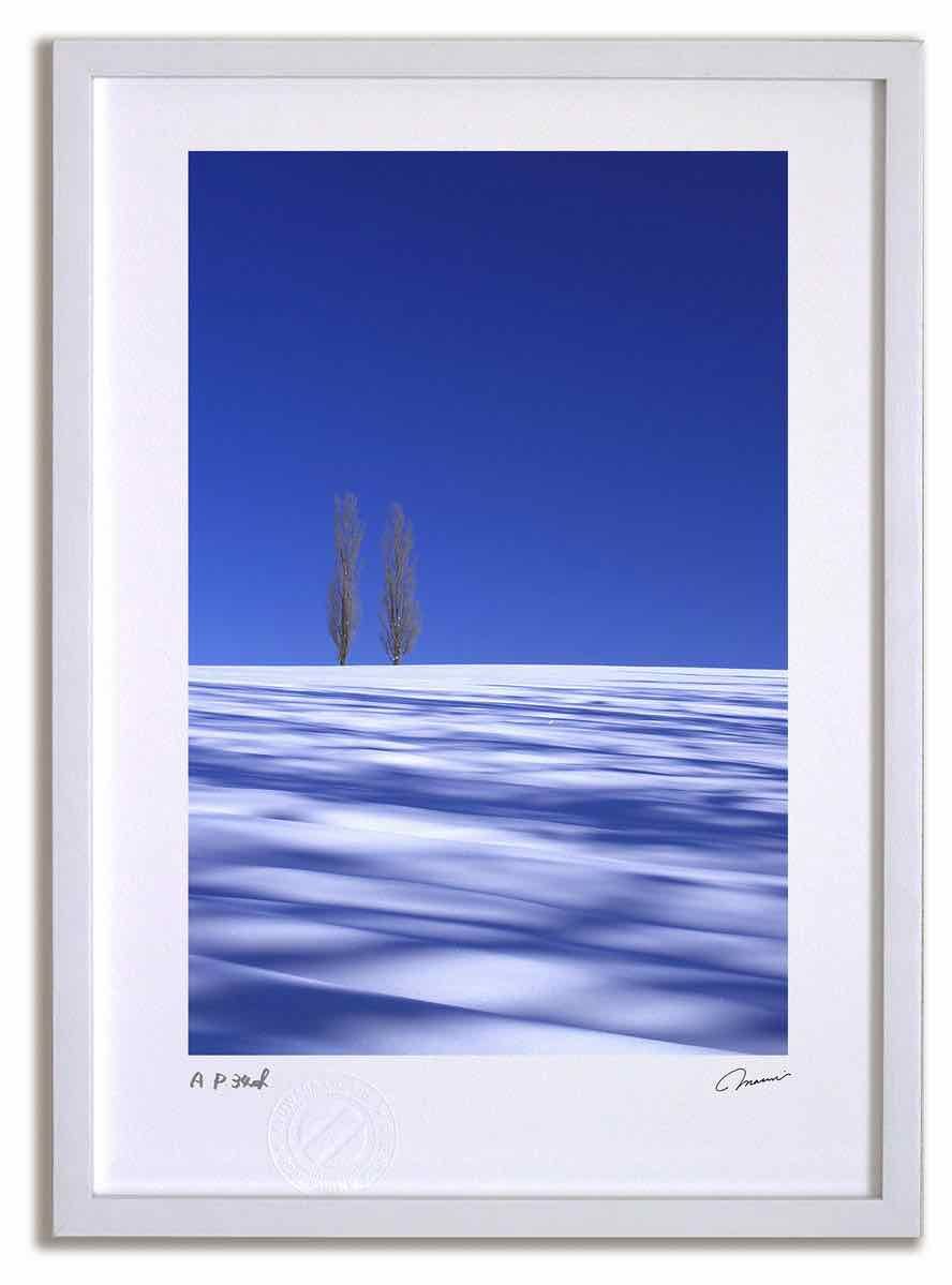 アートフォト 絵画 ポプラと蒼い影6 高橋真澄|インテリア 額入り 額装込 風景画 油絵 ポスター アート アートパネル リビング 玄関 プレゼント モダン アートフレーム 飾る Mサイズ おしゃれ 壁掛け 絵