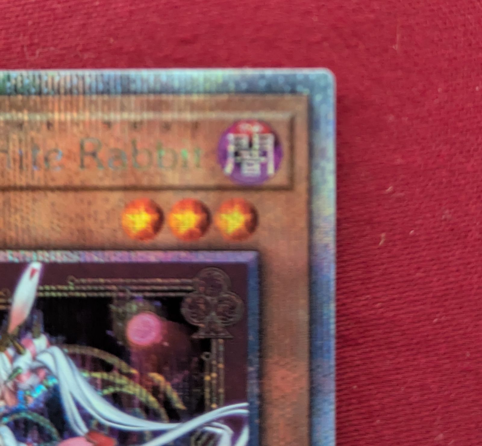 遊戯王 MALICE P White Rabbit 25thシークレット DBCB-JP015 830