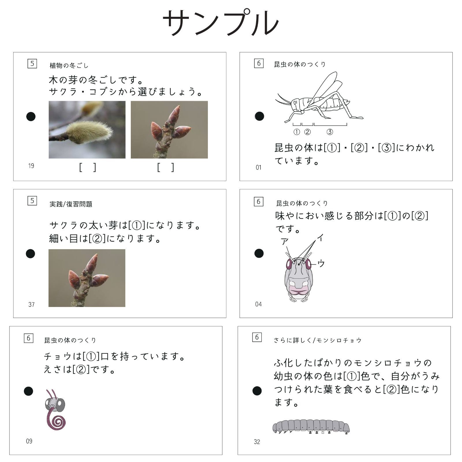 中学受験 生物マスター マスターシリーズ② 暗記カード - メルカリ