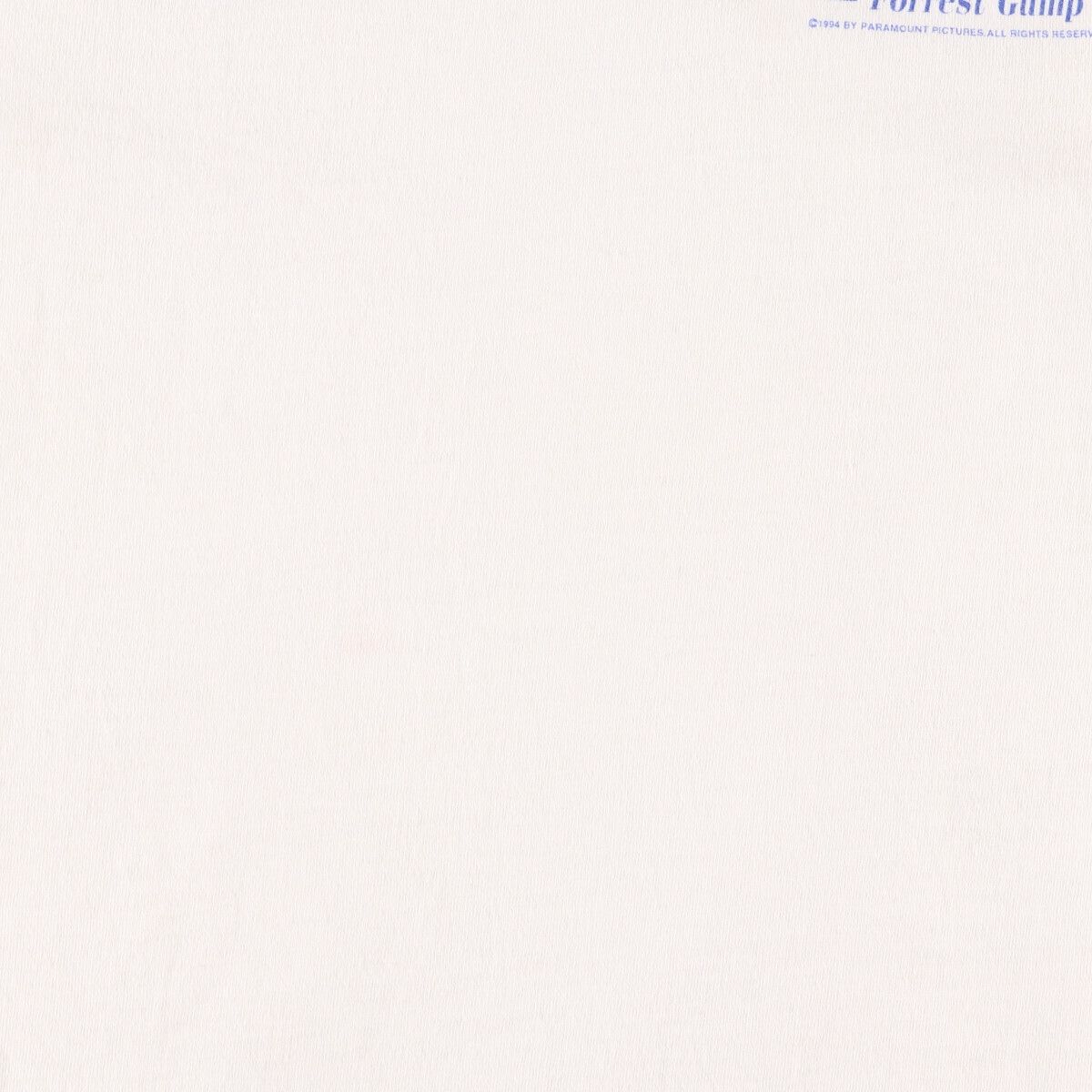 90年代 フルーツオブザルーム FRUIT OF THE ROOM FORREST GUMP フォレストガンプ 両面プリント 映画 ムービーTシャツ USA製 メンズL ヴィンテージ /eva001322