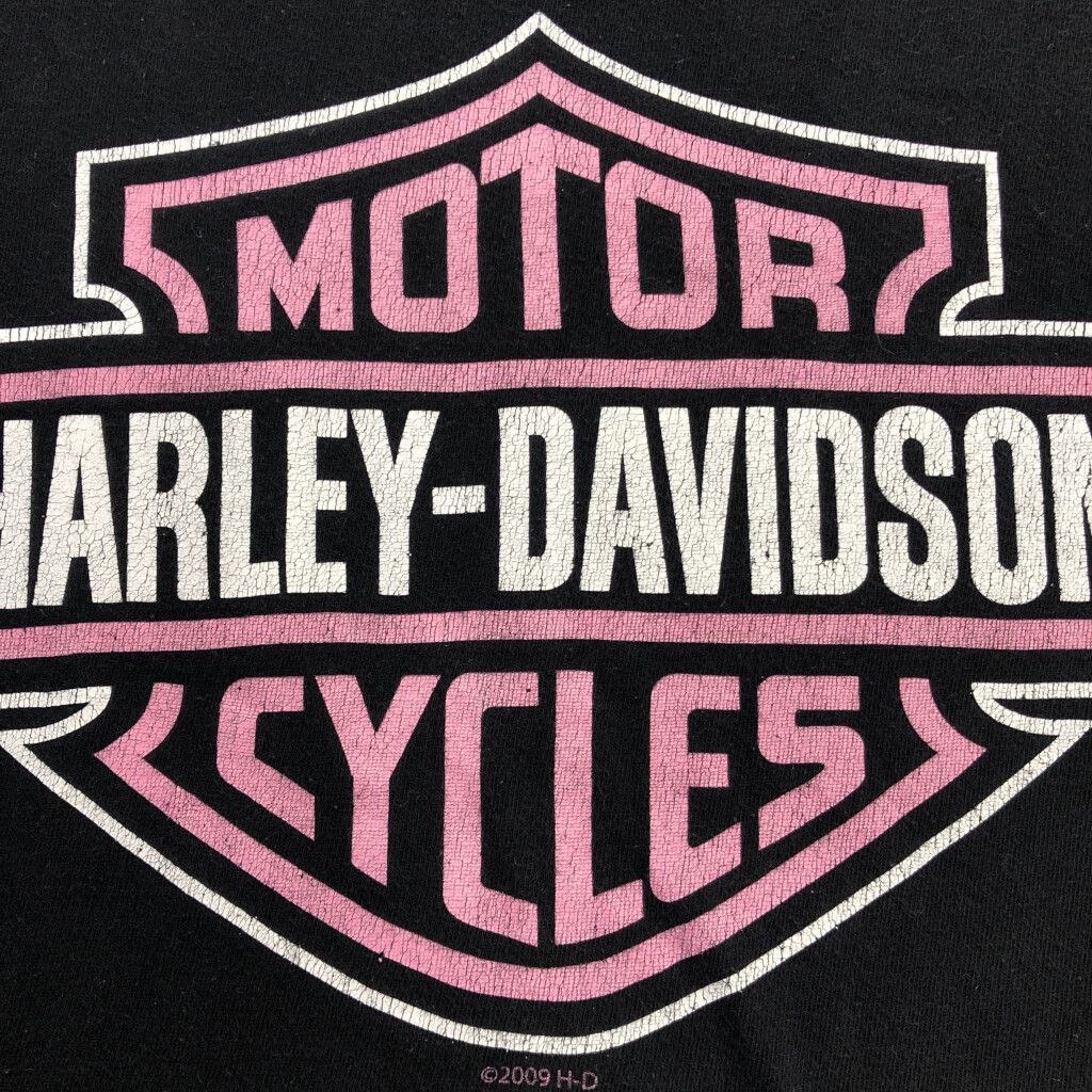 DAVIDSON ハーレーダビッドソン
