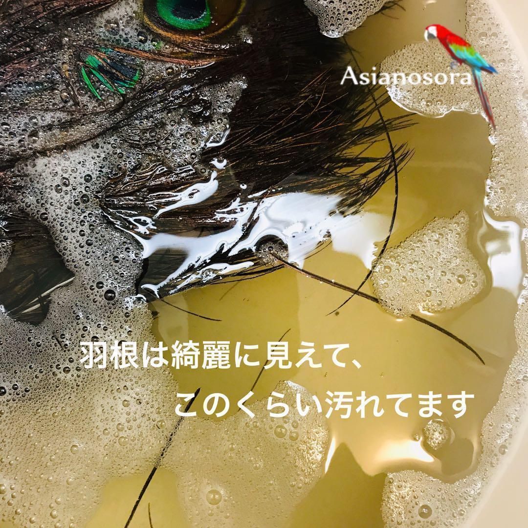 ❤️◾️⭐︎【クジャク 10枚】孔雀の羽根 目玉 パーツ 鳥の羽根