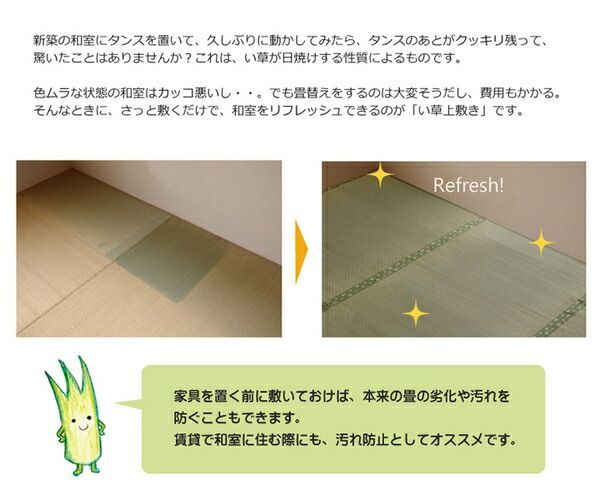 い草 上敷き/ラグマット 日本製 抗菌防臭 耐久性抜群 熊本県八代産イ草使用 〔リビング〕 い草 上敷き&frasl;ラグマット 双目織 約176×176cm 〔江戸 アジアン