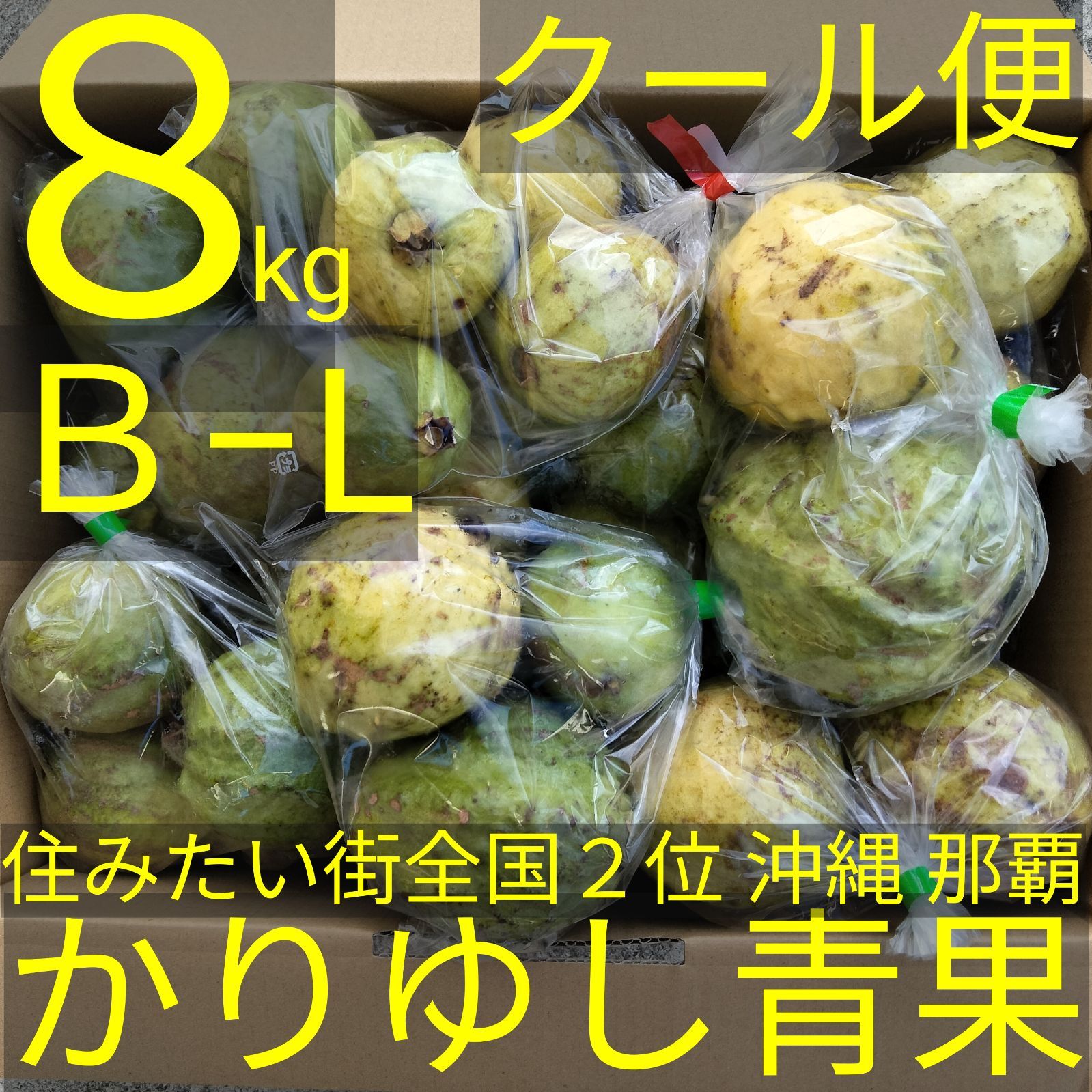 沖縄県産グァバ（白）B品Lサイズ約8kg  【クール便無料】