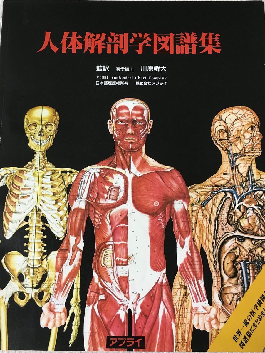 人体局所解剖図譜　セット4冊 jintan-100_or002