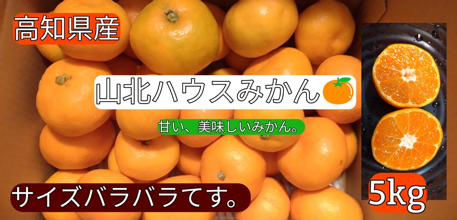 ◯高知県産 山北ハウスみかん 5kg 甘い