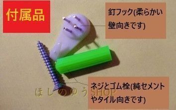 幾何学的