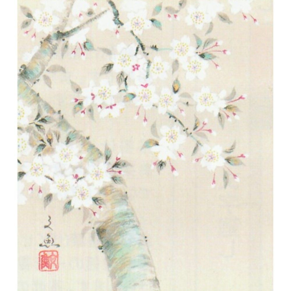 ☆ 中谷文魚『桜・色紙(ナチュラル)』日本画・静物画 満開 花鳥・日本