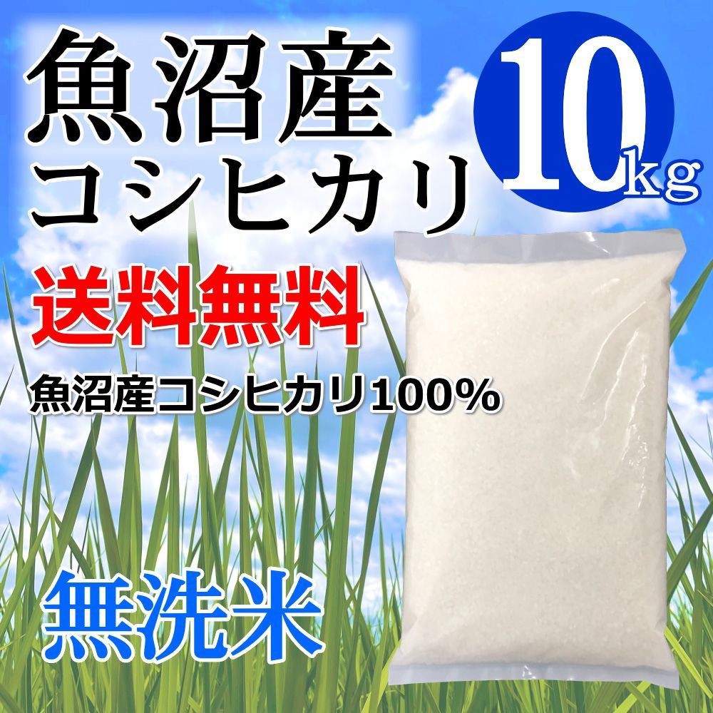 魚沼産 コシヒカリ 無洗米 10キロ（5キロ×2） 新潟県魚沼産 こしひかり