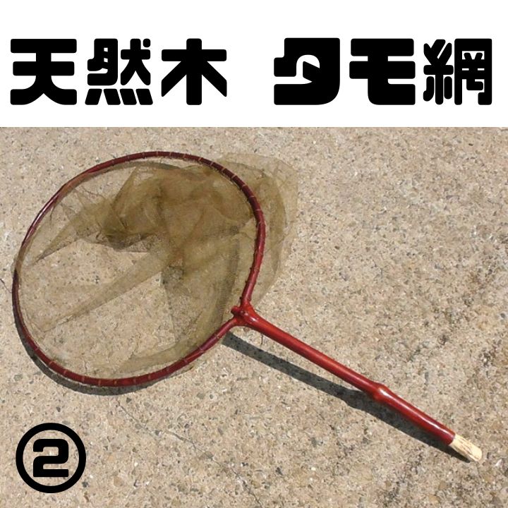 天然木 タモ網 渓流タモ 渓流 鮎タモ 友釣り 鮎 2509