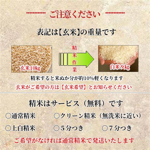 新米／最高品質】玄米／精米／安心安全／お米／コシヒカリ／安い／30 