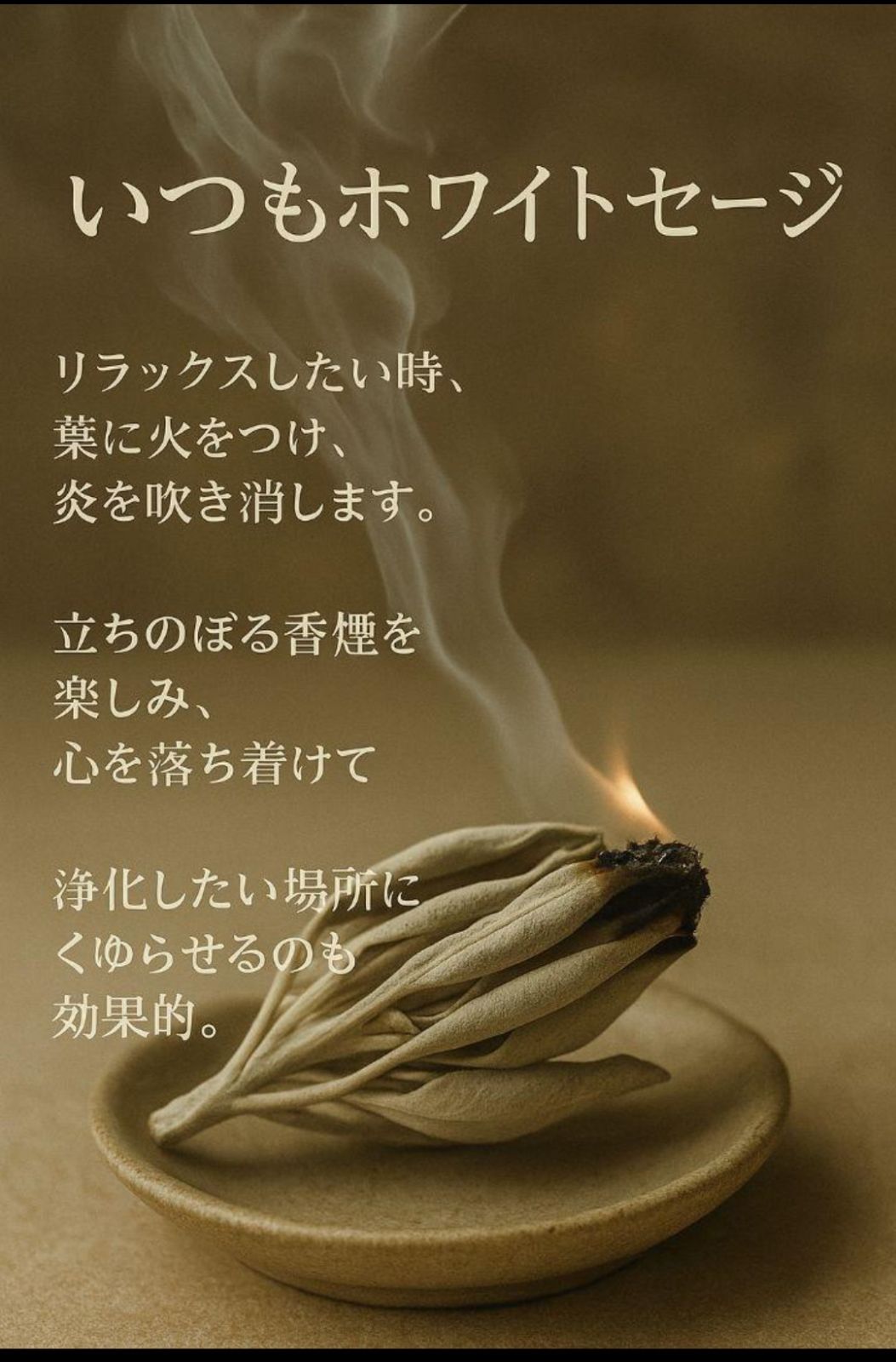 激安価格☆無農薬ホワイトセージ枝付きクラスター1kgお香浄化　業務用価額 激安価格☆無農薬ホワイトセージ枝付きクラスター30g説明書付き