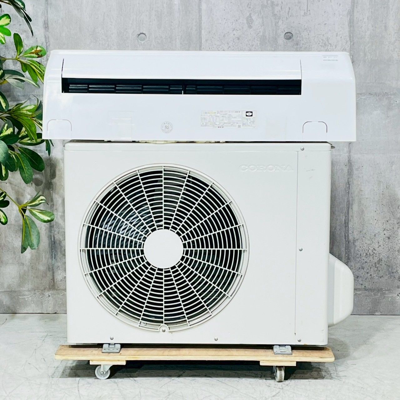 ️CORONA a4060 エアコン 6畳用 2025年製 18 ️