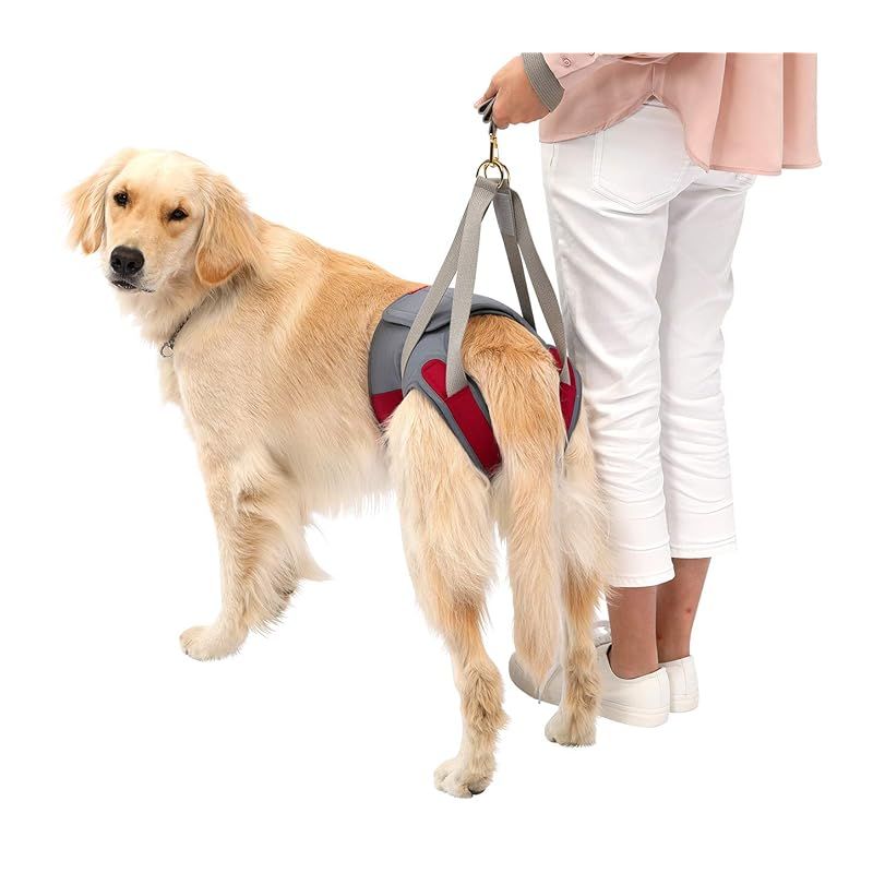 With ウィズ 歩行補助ハーネスLaLaWalk Hip 大型犬用 2TA0102-05 F ラズバリーグレー 犬 F 0