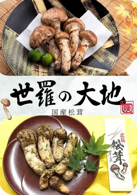 まめちゃん様専用 国産 松茸 【公式通販】