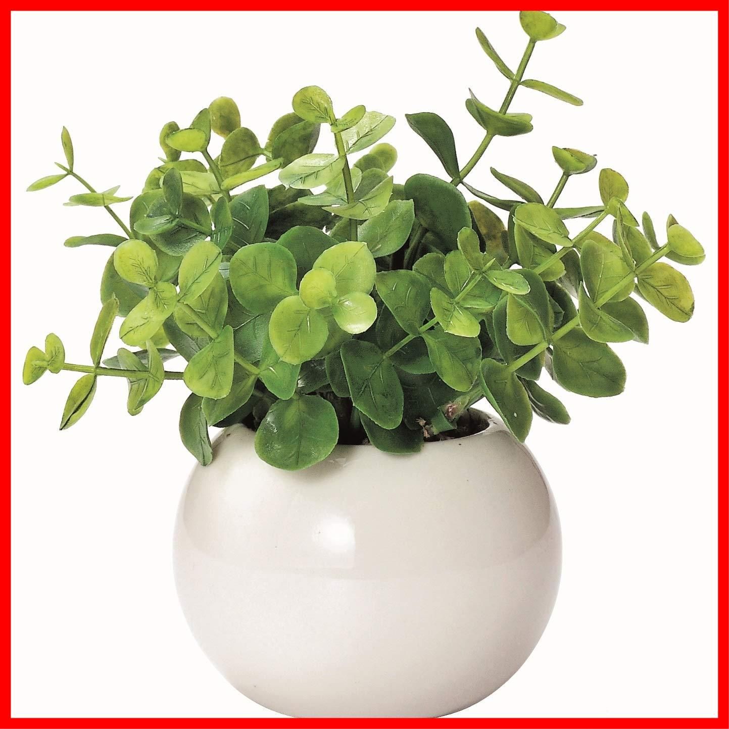 数量 ユーカリ インテリア|人工観葉植物 ケーアイジャパン